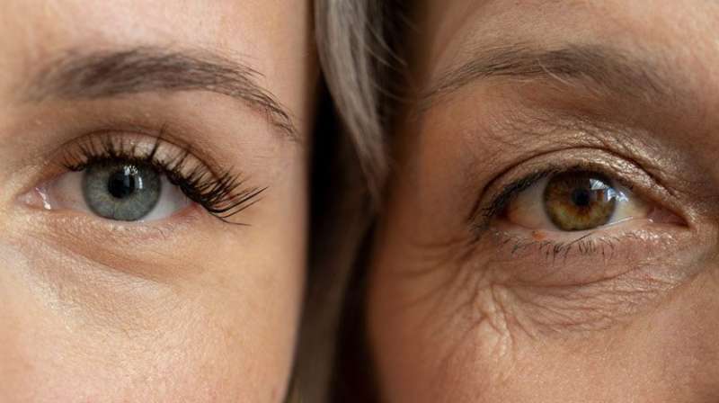 Sunekos Under-Eyes Treatment: How Safe Is It?